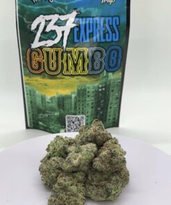 237 Express Gumbo Strain