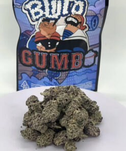 Bluto Gumbo Strain