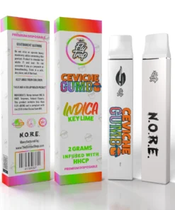 Ceviche Gumbo Key Lime 2G Disposable