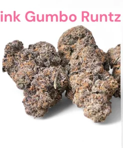 Pink Gumbo Runtz Strain