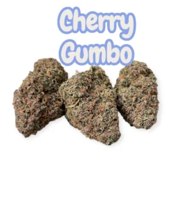 White Cherry Gumbo Strain