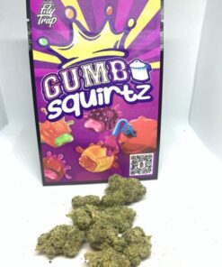 Squirtz Gumbo Strain