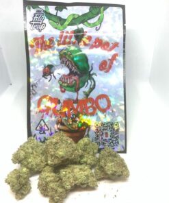 Gumbo The Little Pot of Gumbo