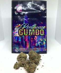 Penthouse Gumbo Strain