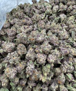 Purple punchsicle smalls